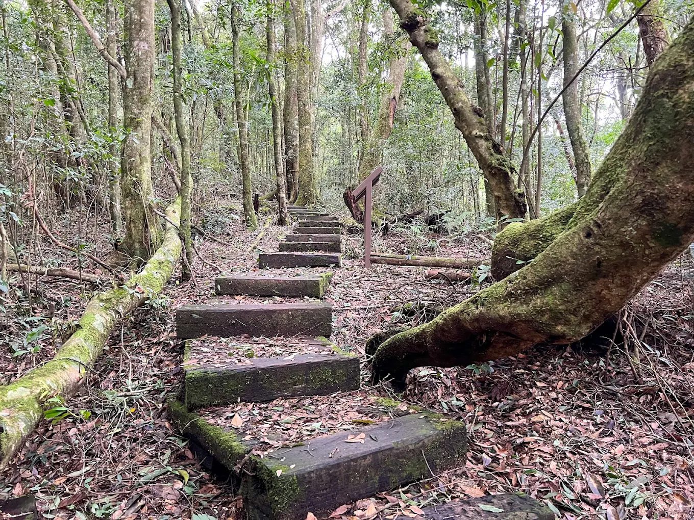 雲林景點一日遊推薦｜秘境打卡地點，一次感受自然與人文風采！