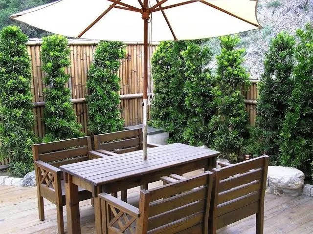 台灣熱門溫泉與山林住宿推薦｜精選療癒系飯店與民宿總整理