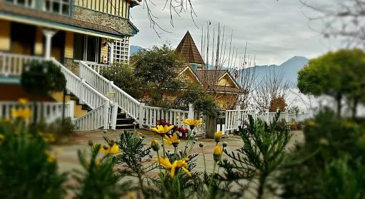 台灣熱門溫泉與山林住宿推薦｜精選療癒系飯店與民宿總整理