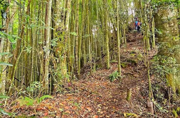 南投最必訪的5大景點｜驚豔你的假期之旅