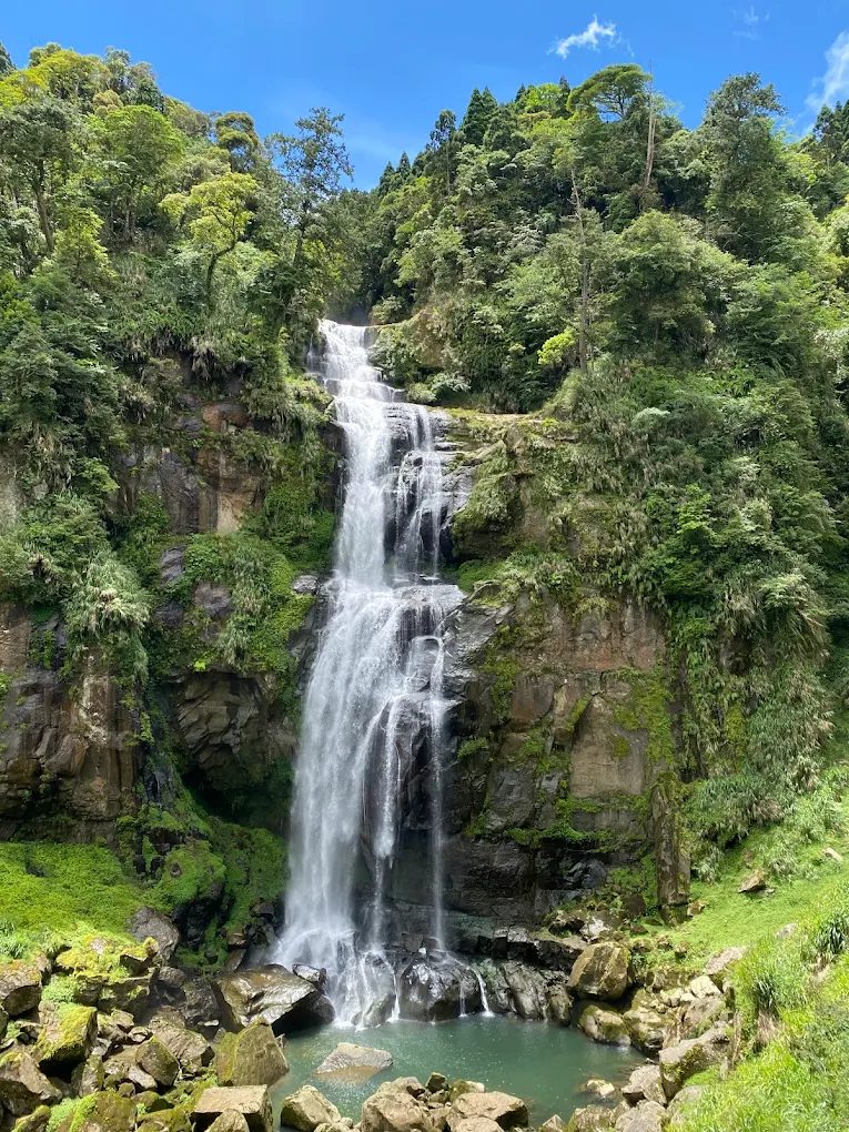 杉林溪森林生態渡假園區｜探索黃金水杉、忘憂森林與青龍瀑布的自然奇幻之旅