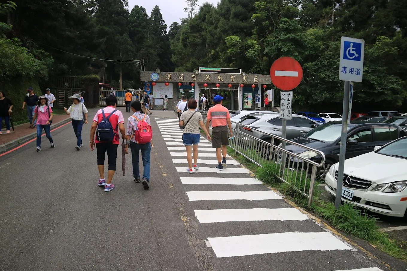 🌲溪頭自然教育園區第二售票處完整攻略：票價、交通、周邊景點一次看！