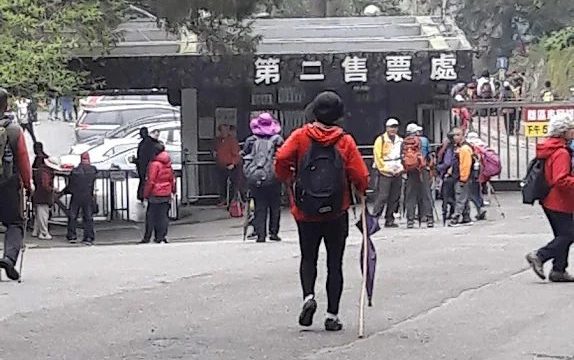 🌲溪頭自然教育園區第二售票處完整攻略：票價、交通、周邊景點一次看！