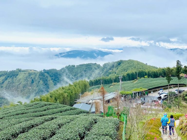 發現雲嶺之丘：最佳觀景台與自然健行體驗