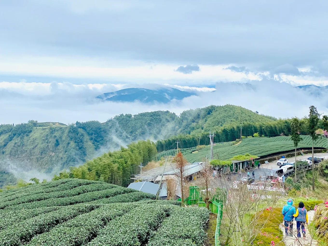 發現雲嶺之丘：最佳觀景台與自然健行體驗