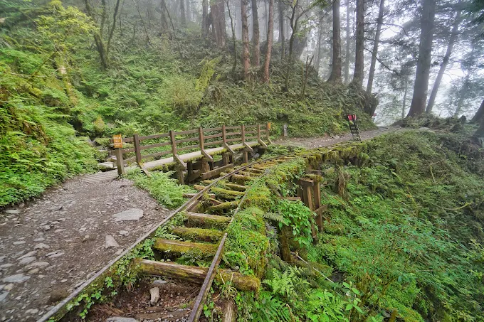 見晴古道霧林鐵道遺跡與步道交錯的山林景觀