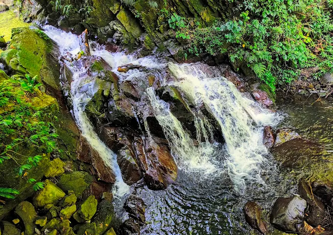 新竹秘境探索:湖口茶香步道和周邊絕美景點推薦