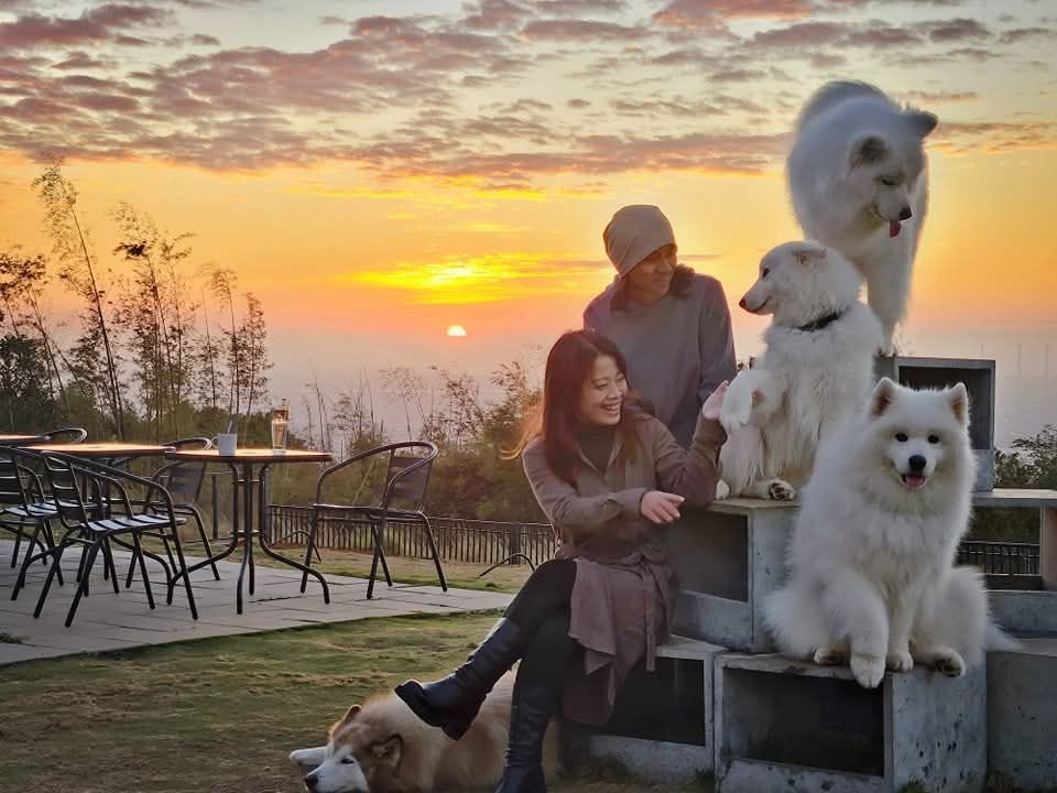 在鹿雅森林與白色毛孩共賞夕陽