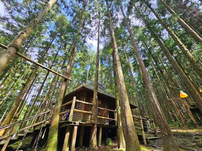 新竹秘境探索:湖口茶香步道和周邊絕美景點推薦