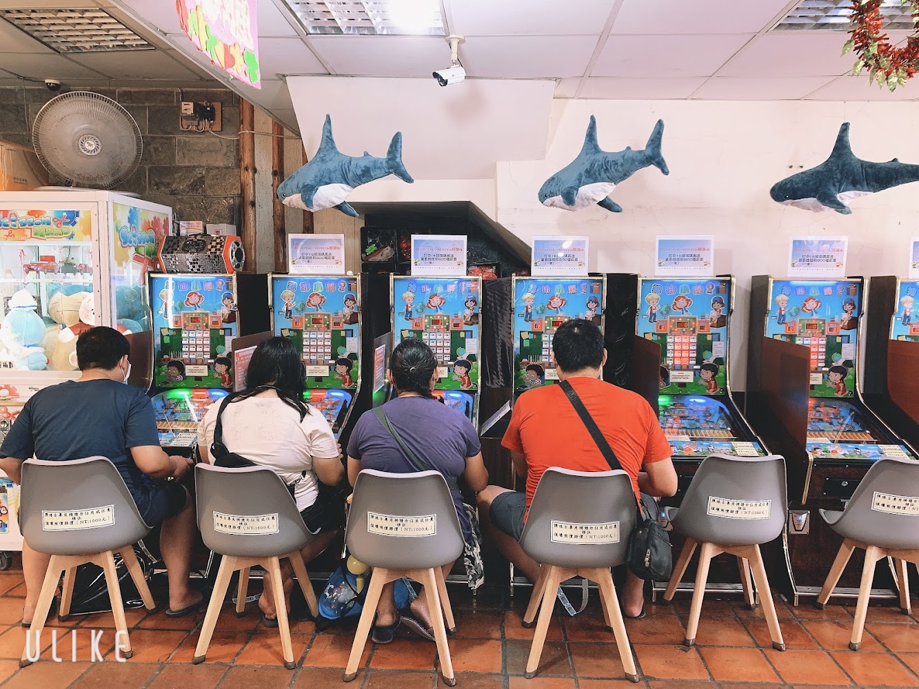 親子樂園探索：淡水豬豬寶貝親子遊樂園全攻略