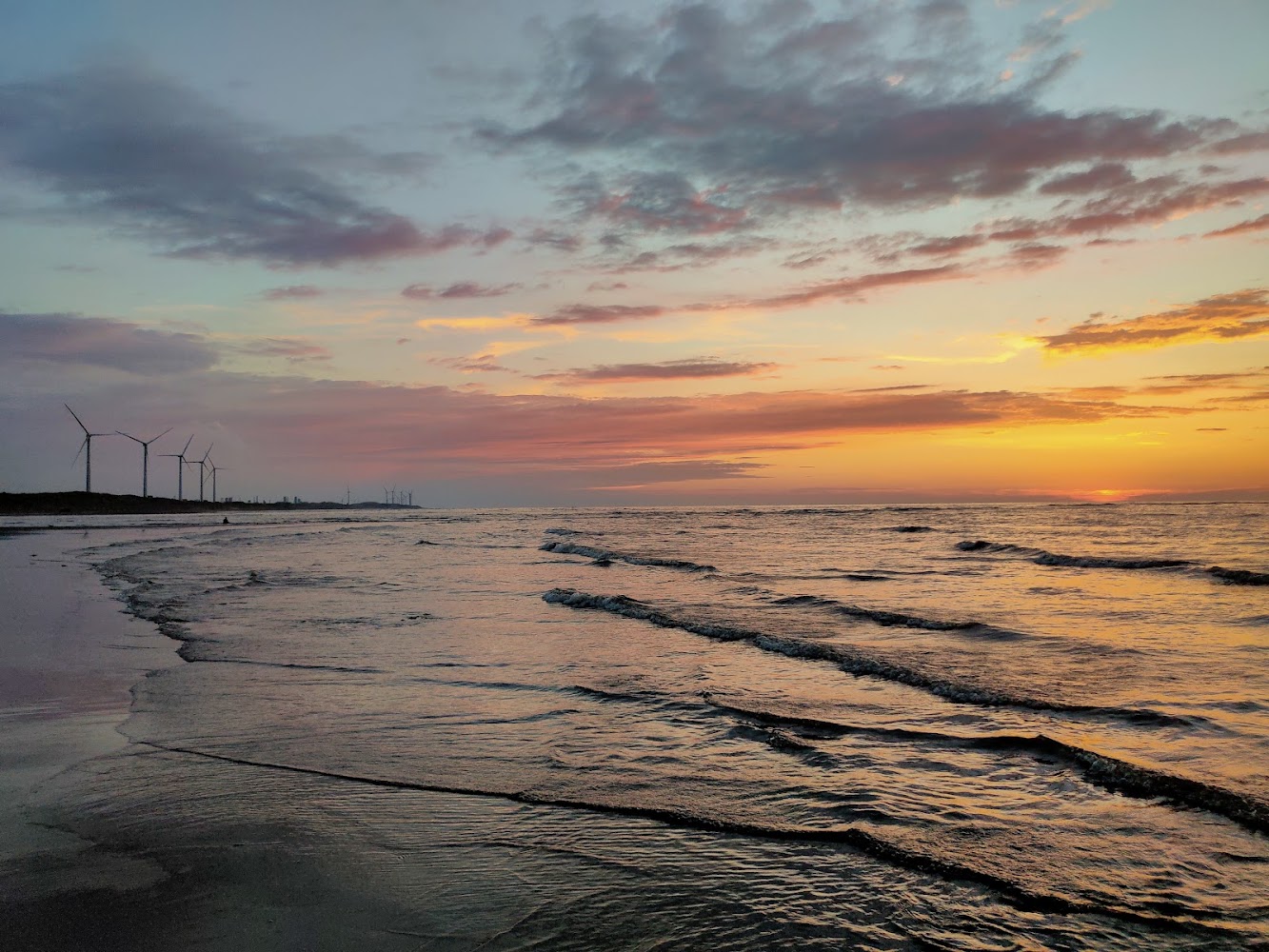 溪畔濕地｜桃園景點推薦｜探索大溪老街、虎頭山公園等美麗秘境