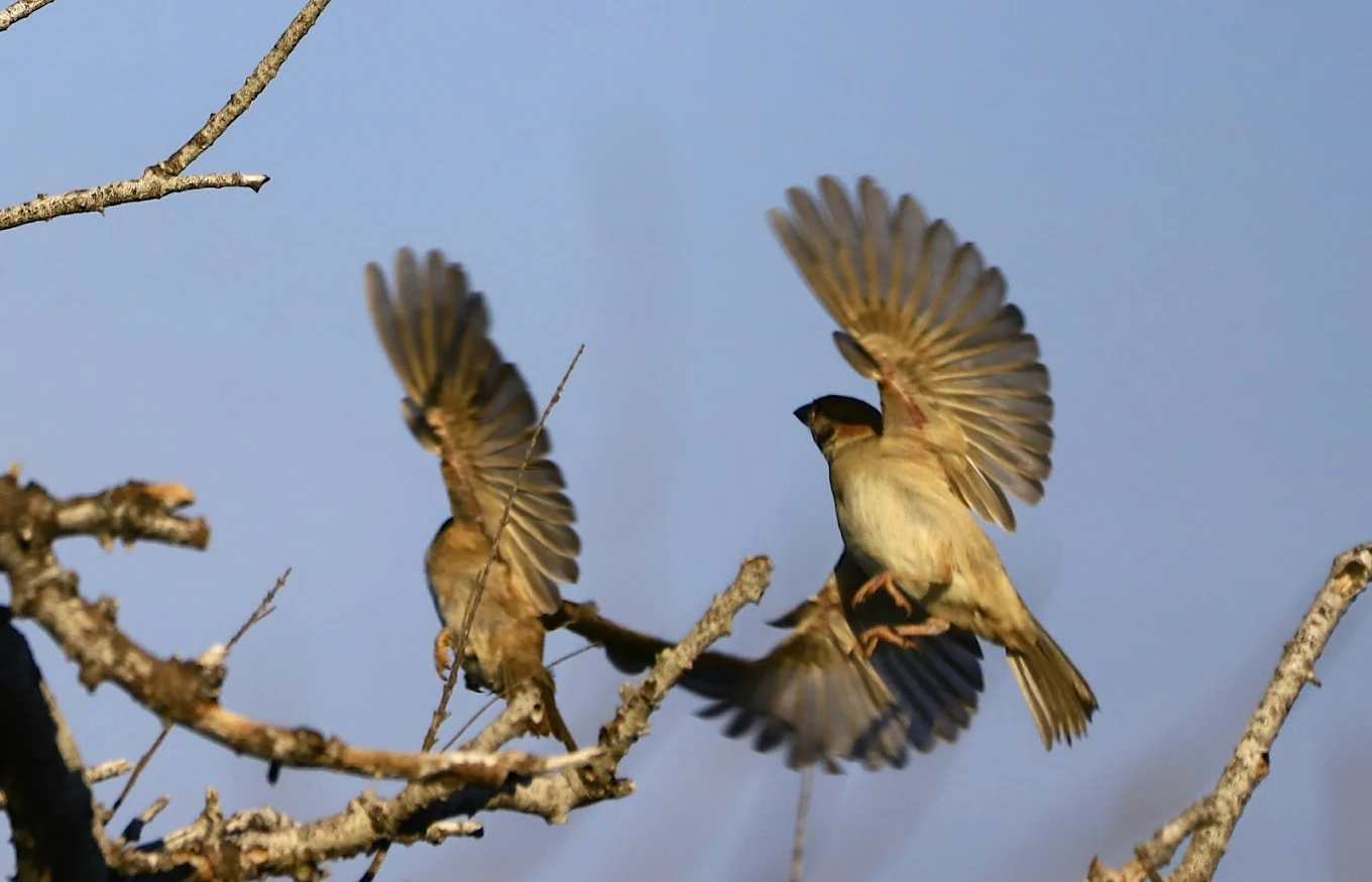 探索台灣生態旅遊的最佳景點｜自然與文化的完美結合