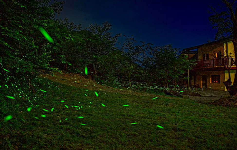 風雅月筑｜山林中的療癒小木屋，擁抱自然的四季私旅