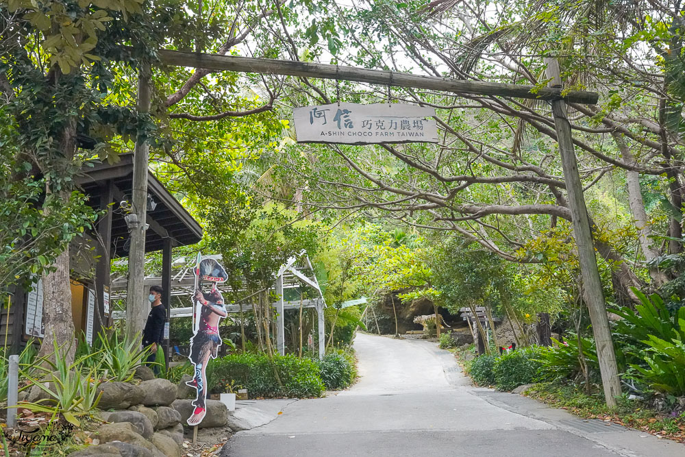 巧克力產品｜阿信巧克力農場的美味探險：全方位指南