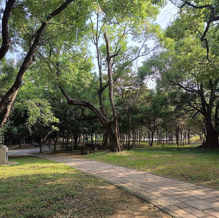 大亞中科公園｜探索台中親子景點：適合孩子的五大公園推薦