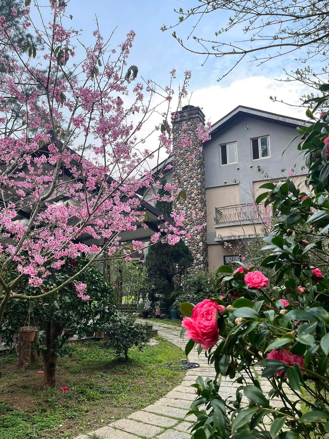山水屋民宿｜在老街邊界找到片刻的寧靜