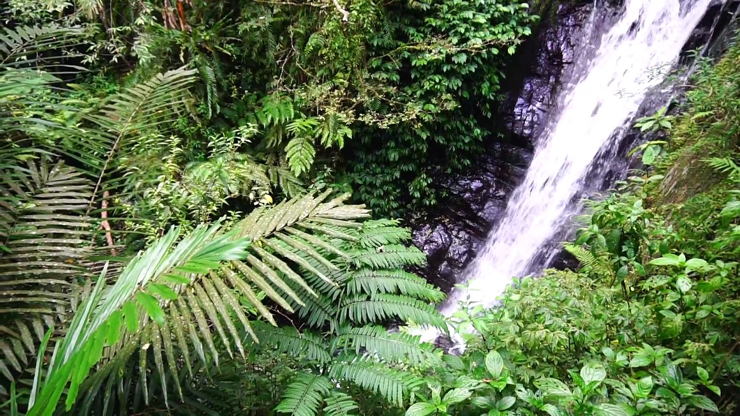 最新消息｜林美石磐步道：探索宜蘭隱秘的自然美景與 hiking 體驗