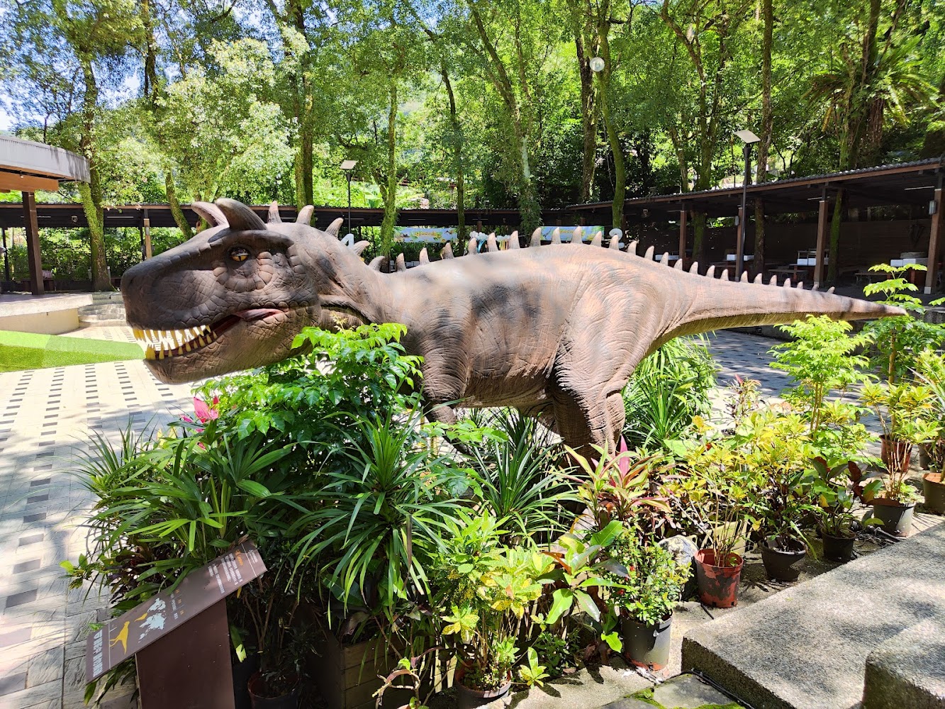 大板根森林遊樂園|大板根的隱藏寶藏:進一步探索大板根的魅力