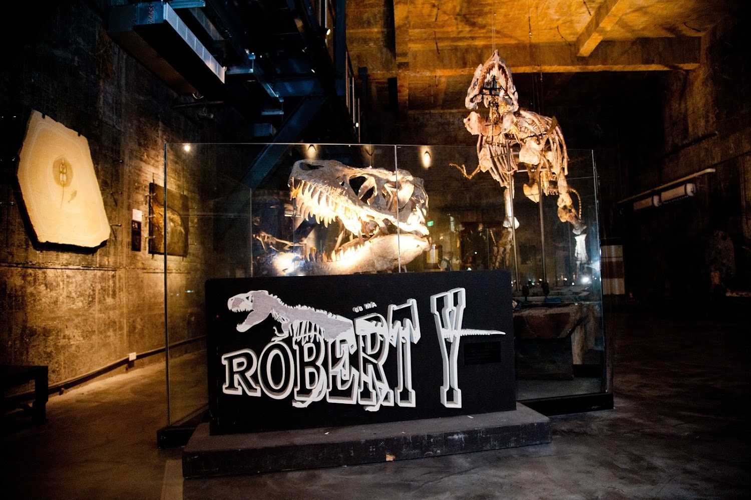 RobertY廢墟暴龍館｜探索台灣室內景點：最佳五大親子遊樂場所