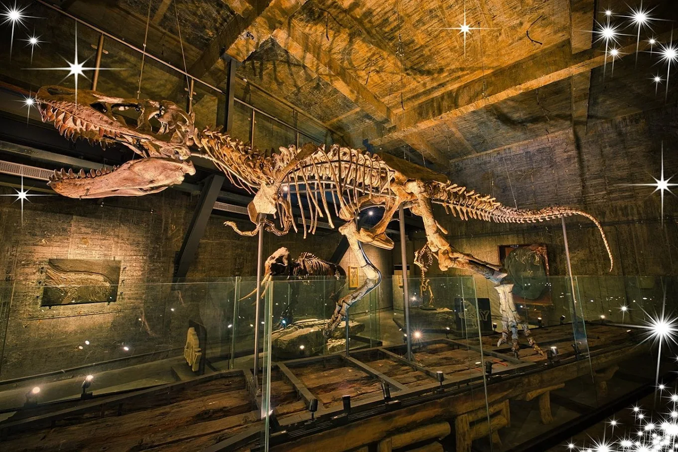 探索親子室內景點｜值得一遊的台灣特色博物館