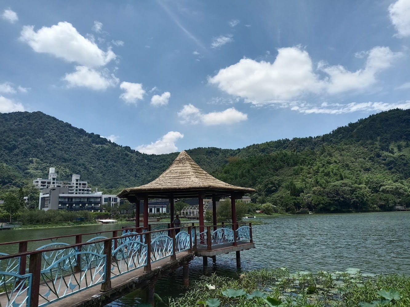 南投埔里景點推薦：探索恬靜自然與人文的完美結合