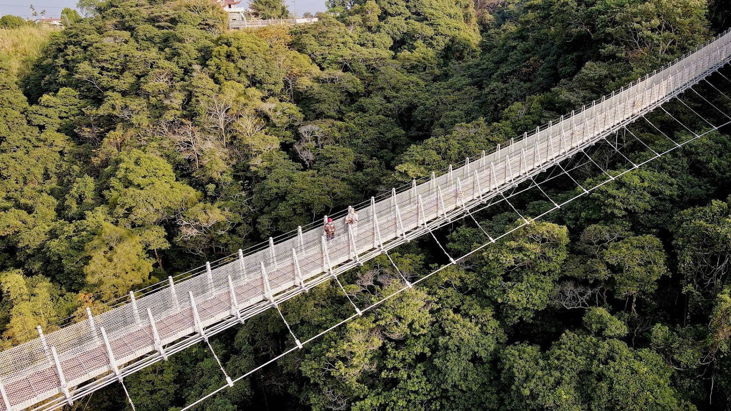 猴探井天空之橋｜南投好玩的5大景點推薦｜輕鬆享受每一刻