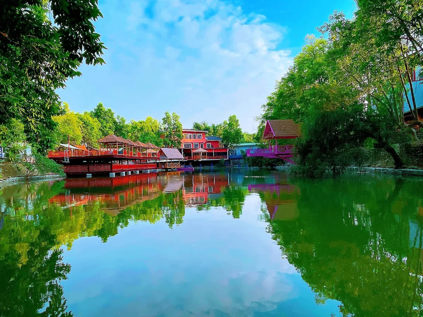 雲林必訪｜近水樓台湖畔森林咖啡：悠閒沉浸自然的慢時光