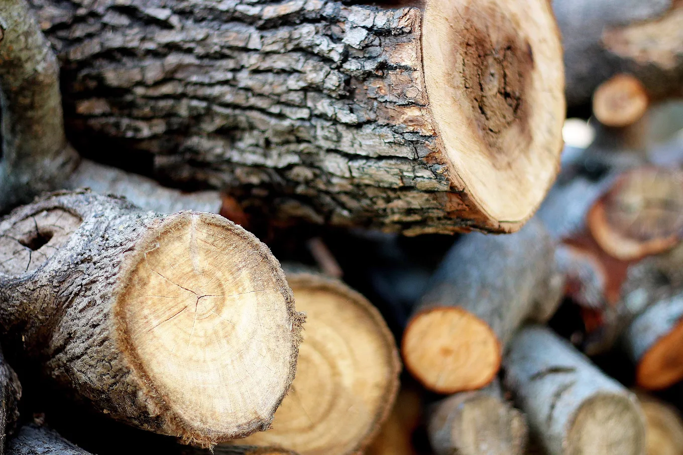 南投景點親子遊｜適合全家一起探索的4大必訪景點