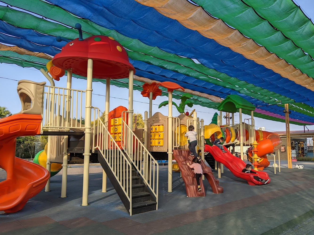 淡水豬豬寶貝親子遊樂園｜親子景點推薦：三隻小豬觀光農場，一日遊的最佳選擇