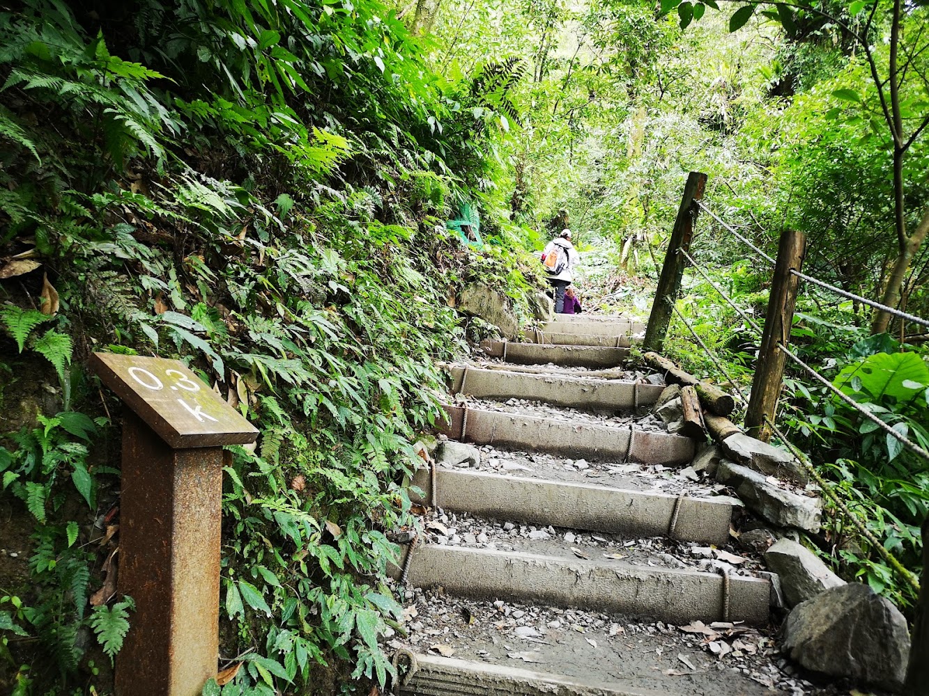 宜蘭步道必走攻略|最佳五大登山健行路線揭曉