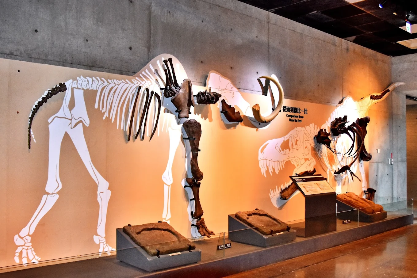 台南親子必遊景點｜五大家庭樂園推薦＋實用攻略