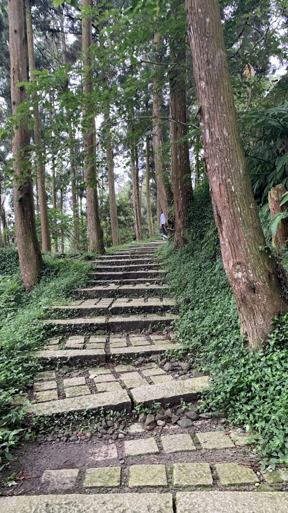 最新1天前｜南投景點推薦：探索溪頭自然教育園區與周邊四大必訪景點