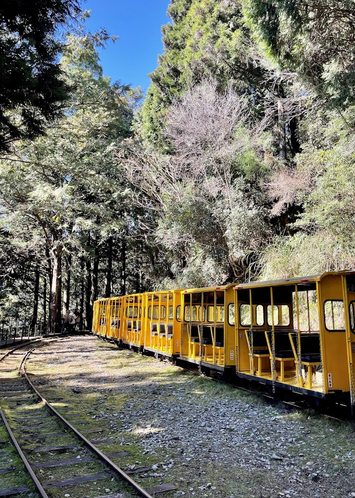 太平山登山步道｜太平山莊：探索臺灣自然之美的最佳選擇
