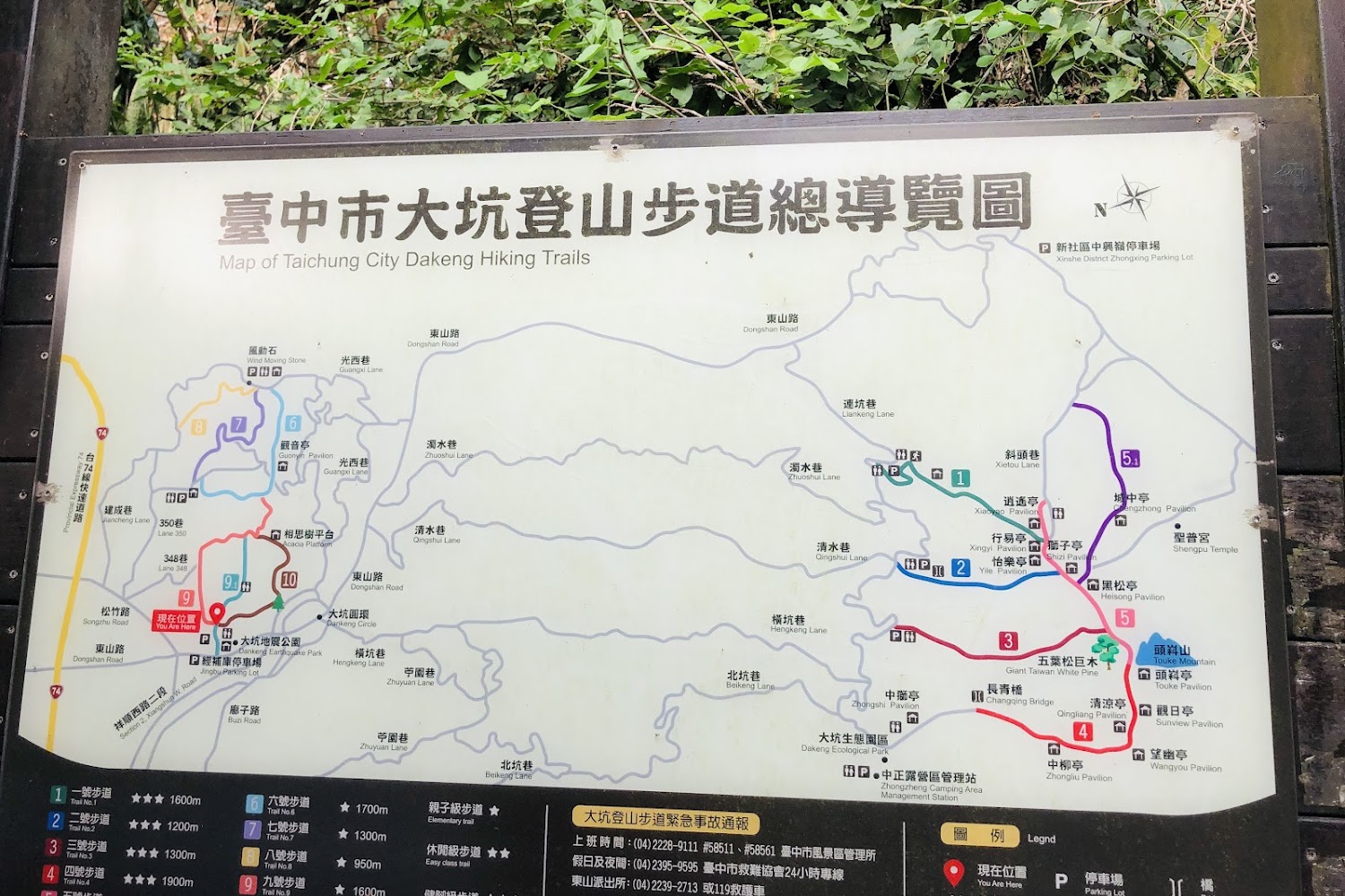 影片|大坑步道探索:大坑9號登山步道的全攻略