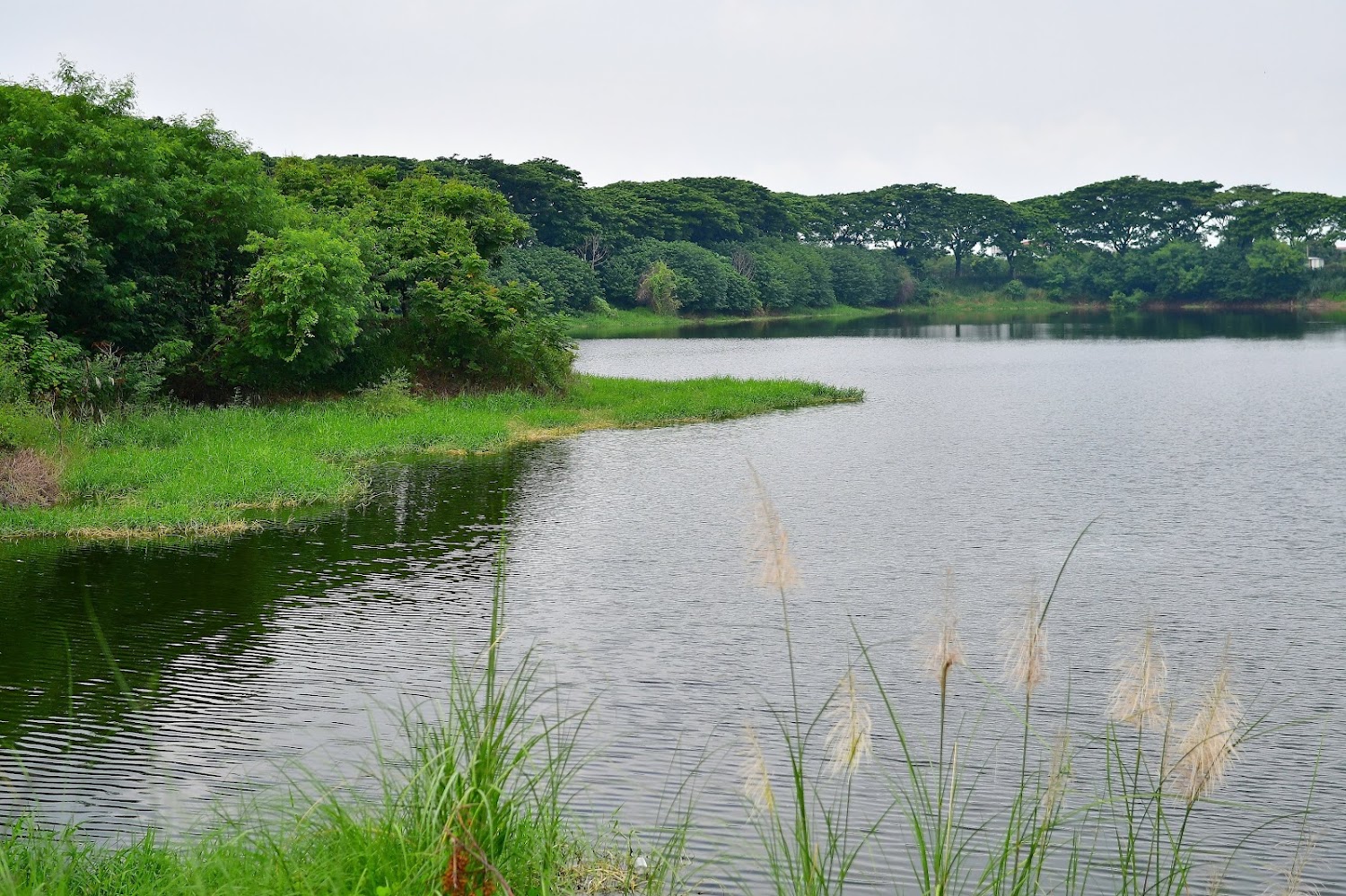 紫藤湖｜雲林景點推薦：探索雲嶺山與其它絕美自然秘境