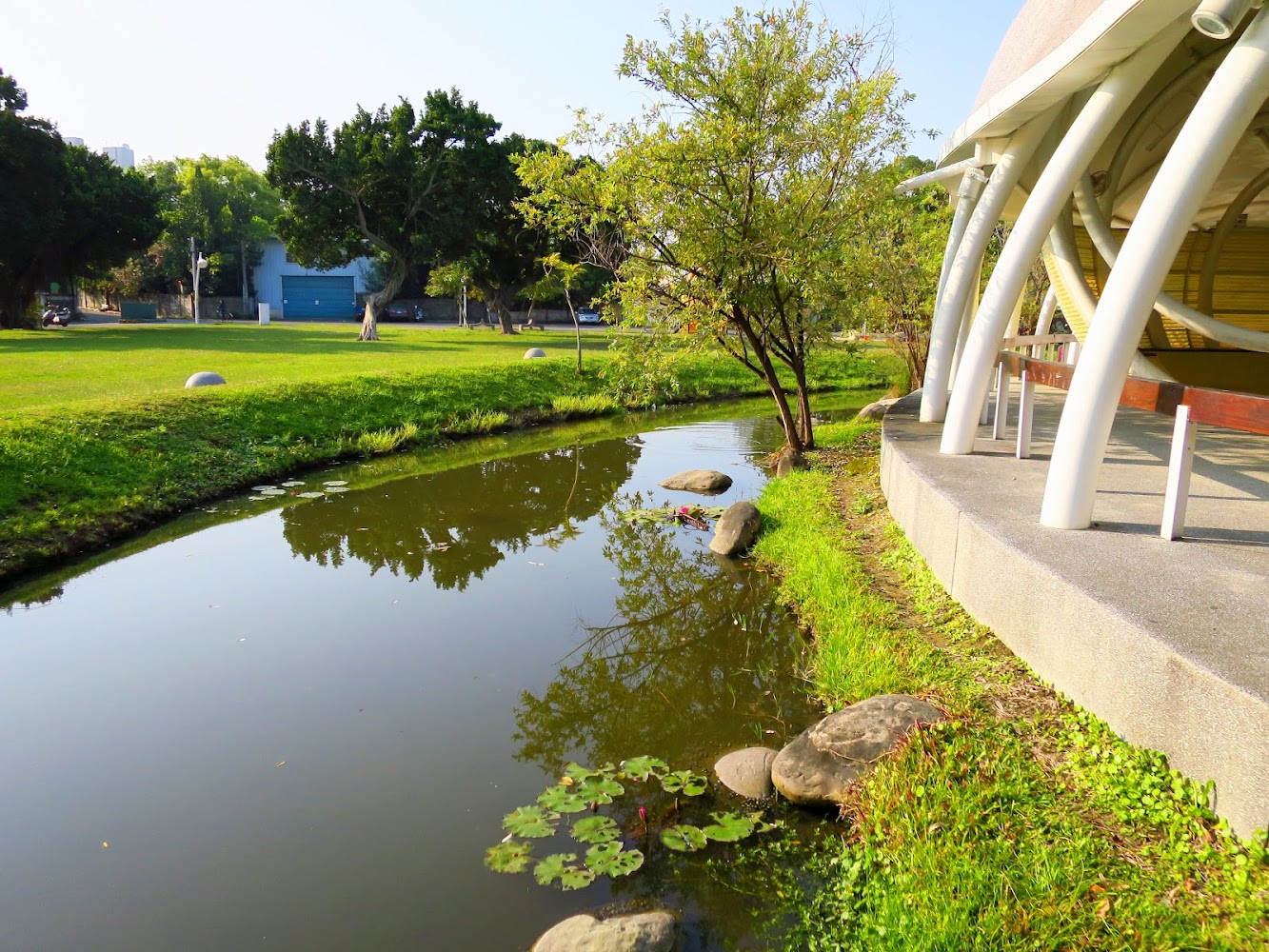 斗六公園綠意盎然的樹木與休閒設施