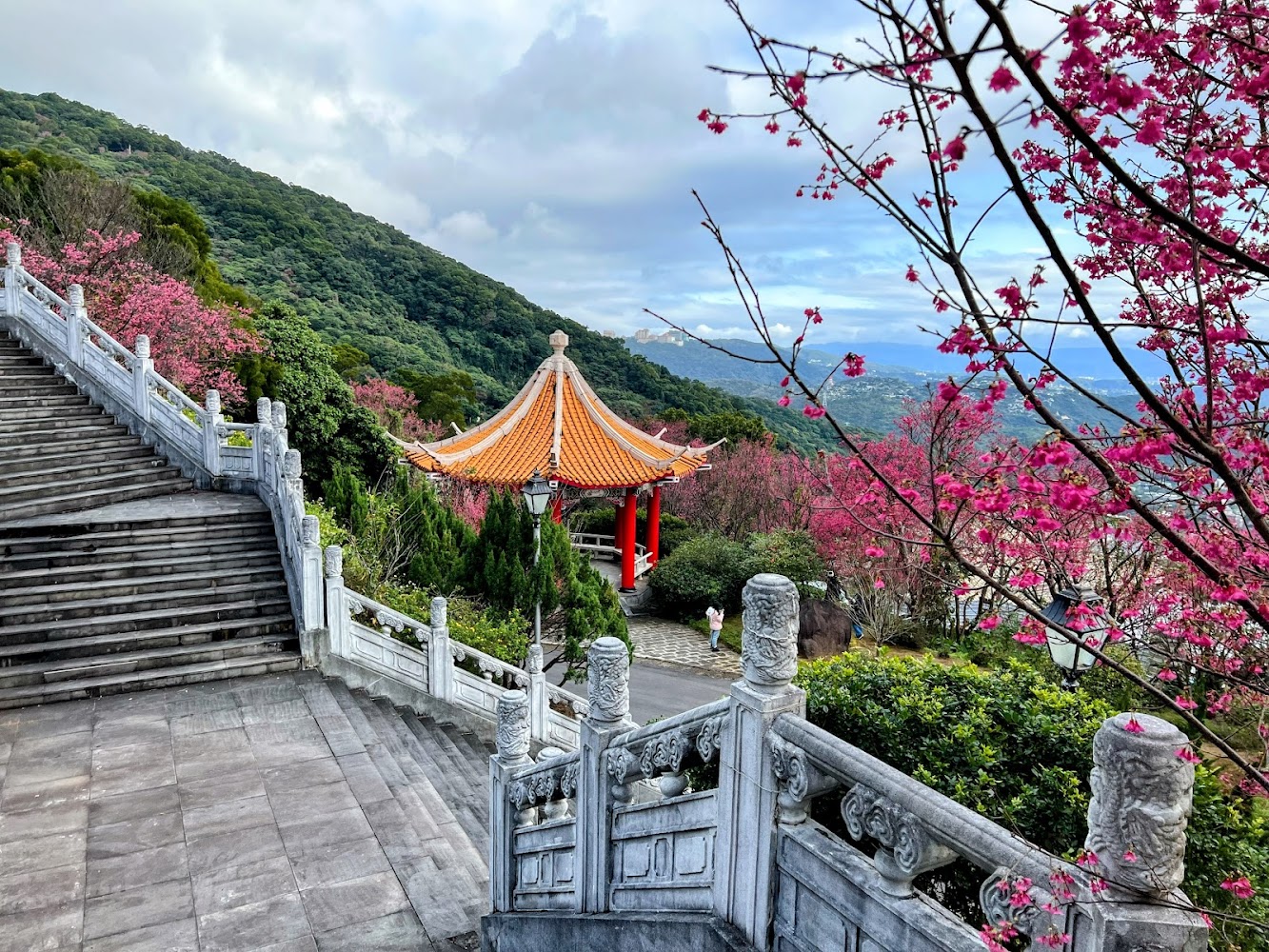 陽明山國家公園｜壯闊火山地景與四季花海