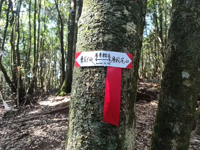 探索谷關七雄|7 座中級山+秘境瀑布+在地美食攻略