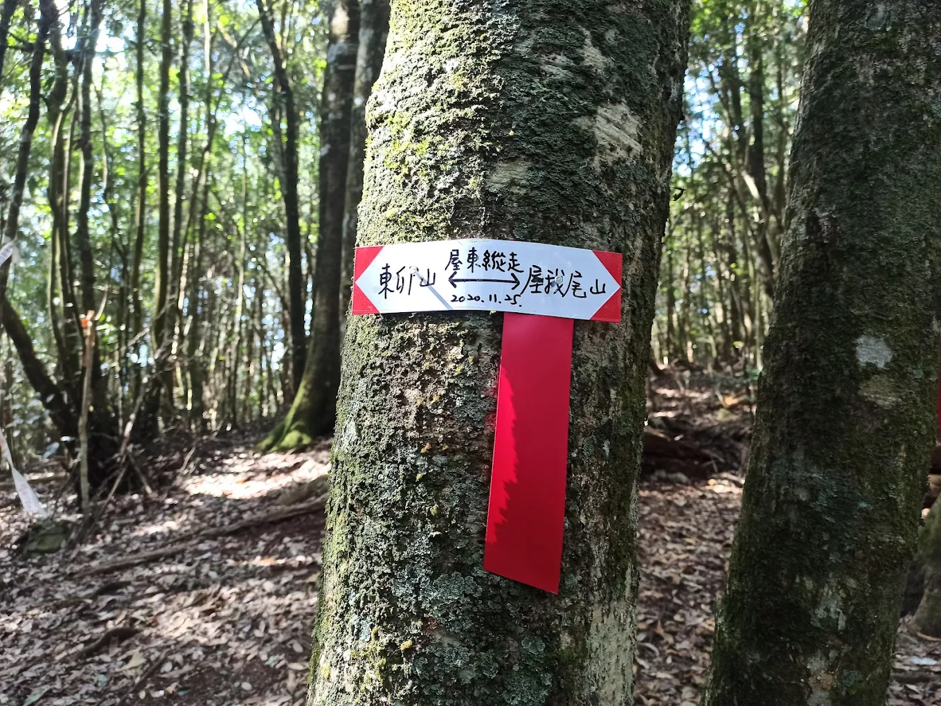 探索谷關七雄｜7 座中級山＋秘境瀑布＋在地美食攻略