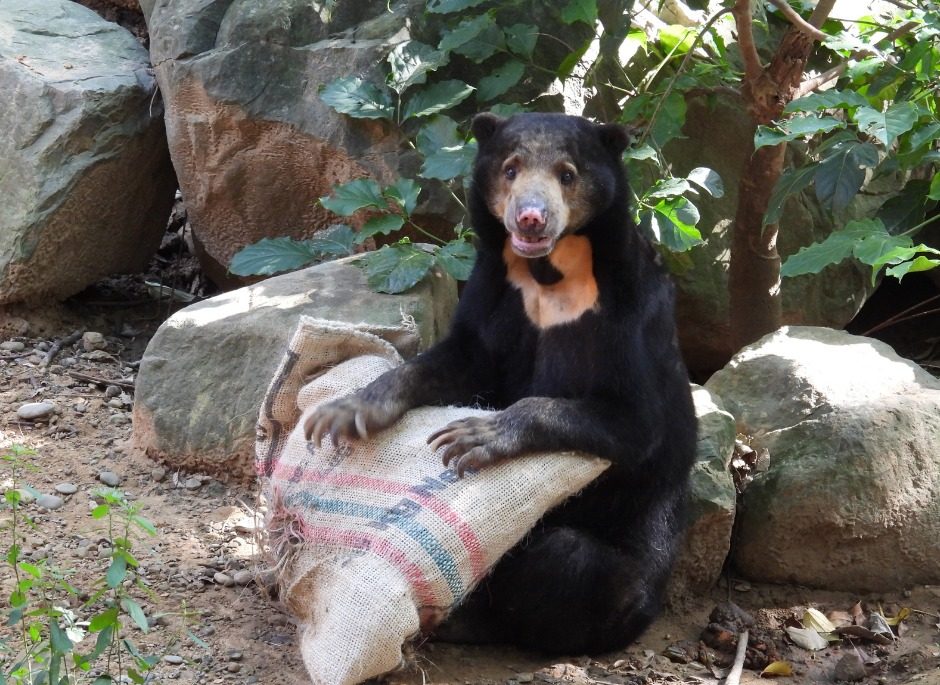 新竹市立動物園 Hsinchu Zoo
