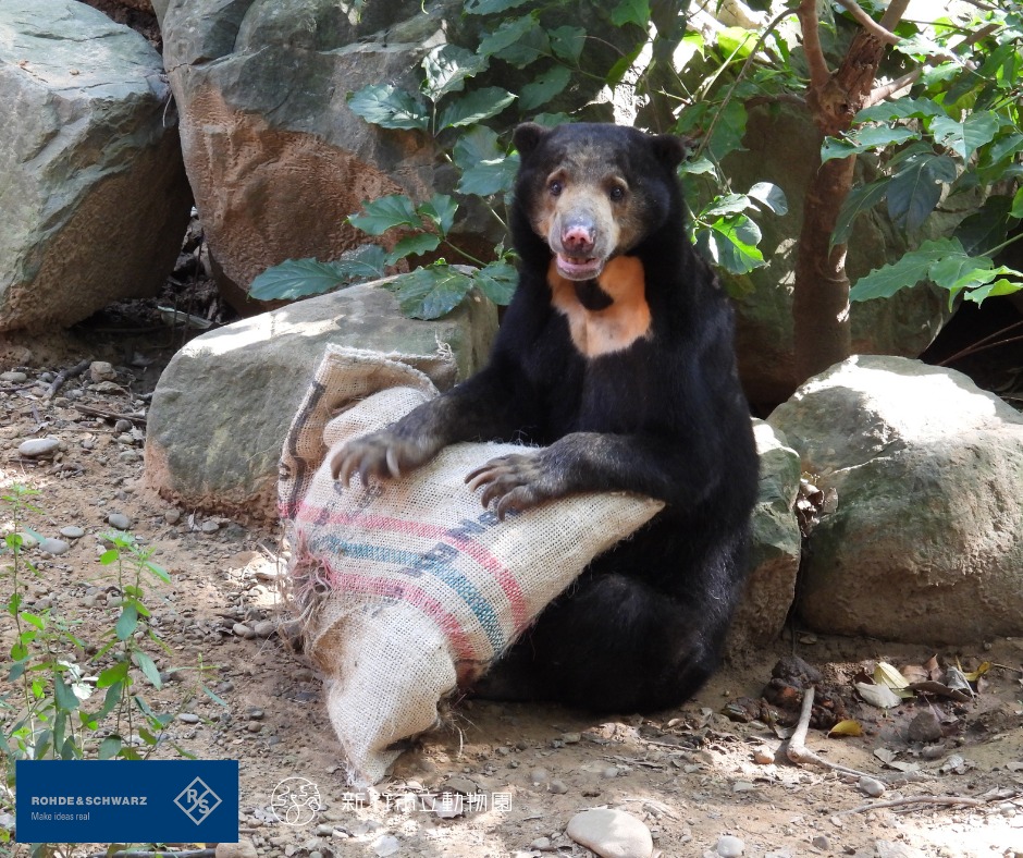 新竹市立動物園 Hsinchu Zoo