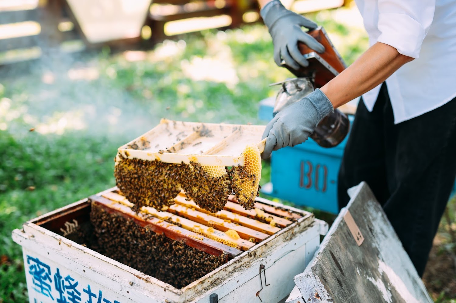 蜜蜂故事館 Honey Museum
