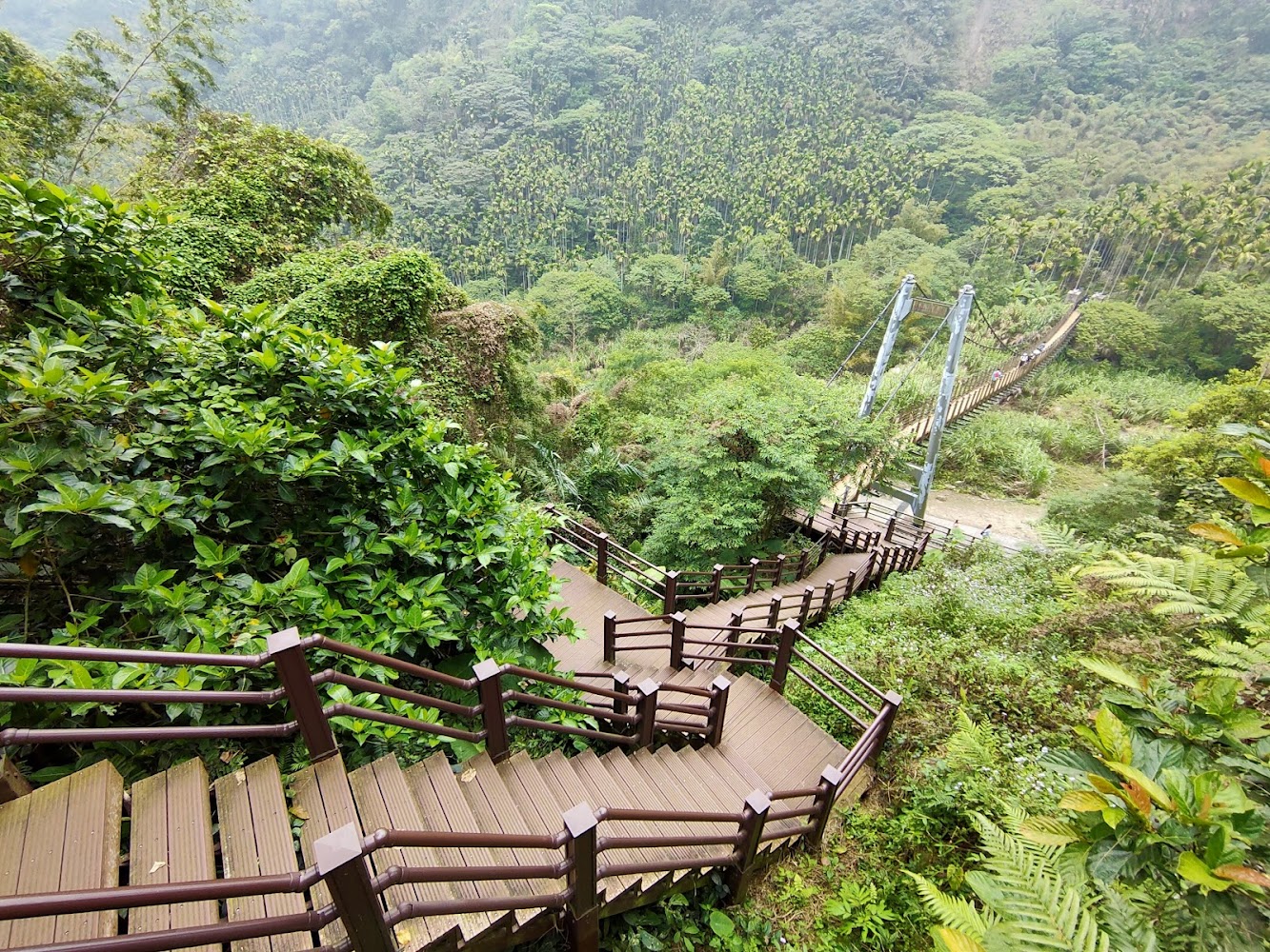 古坑綠色隧道公園｜古坑景點探索：必訪華山情人橋及周邊美好體驗