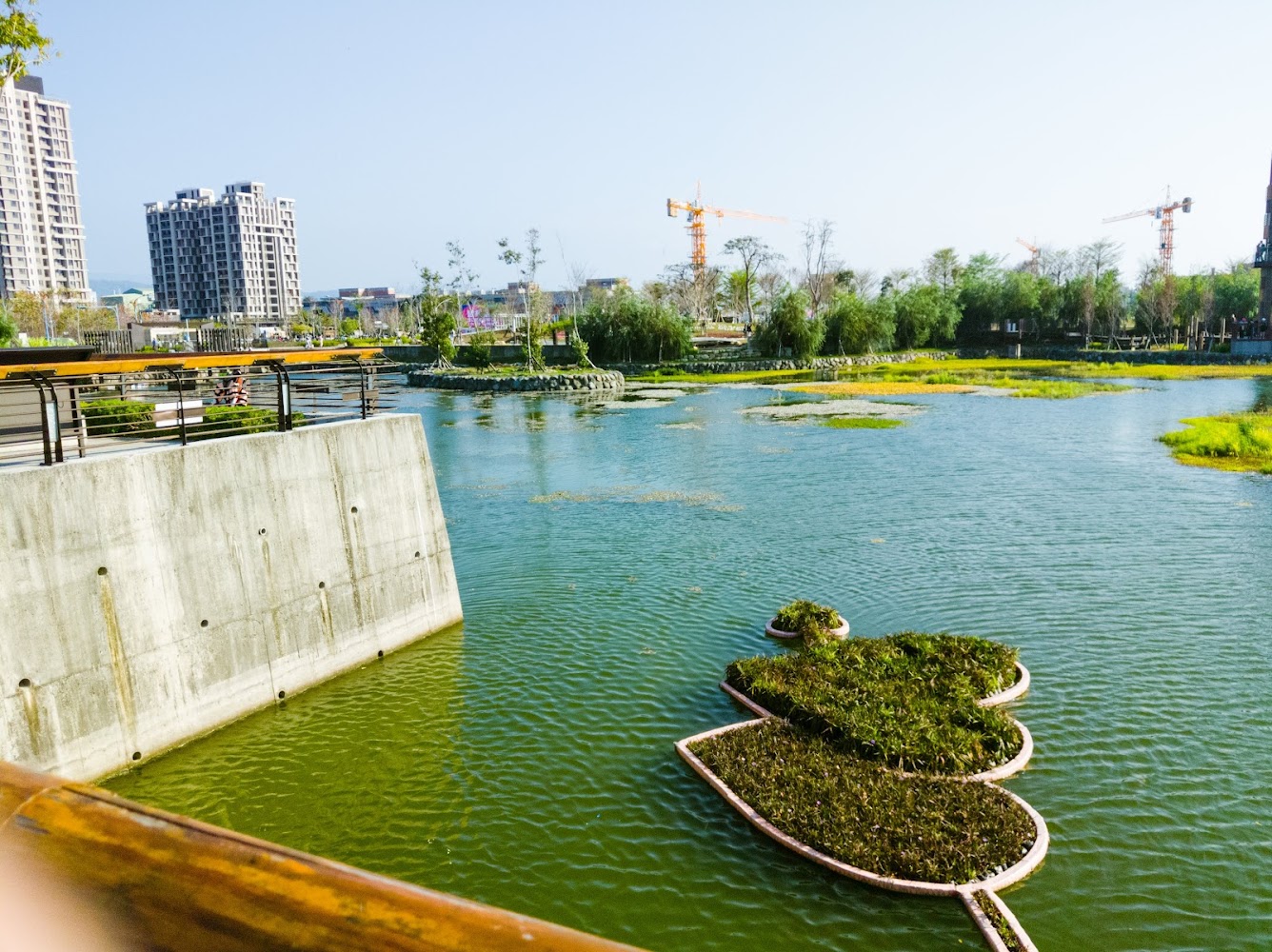 台糖湖濱生態步道|台中景點:探索最受歡迎的5大旅遊熱點