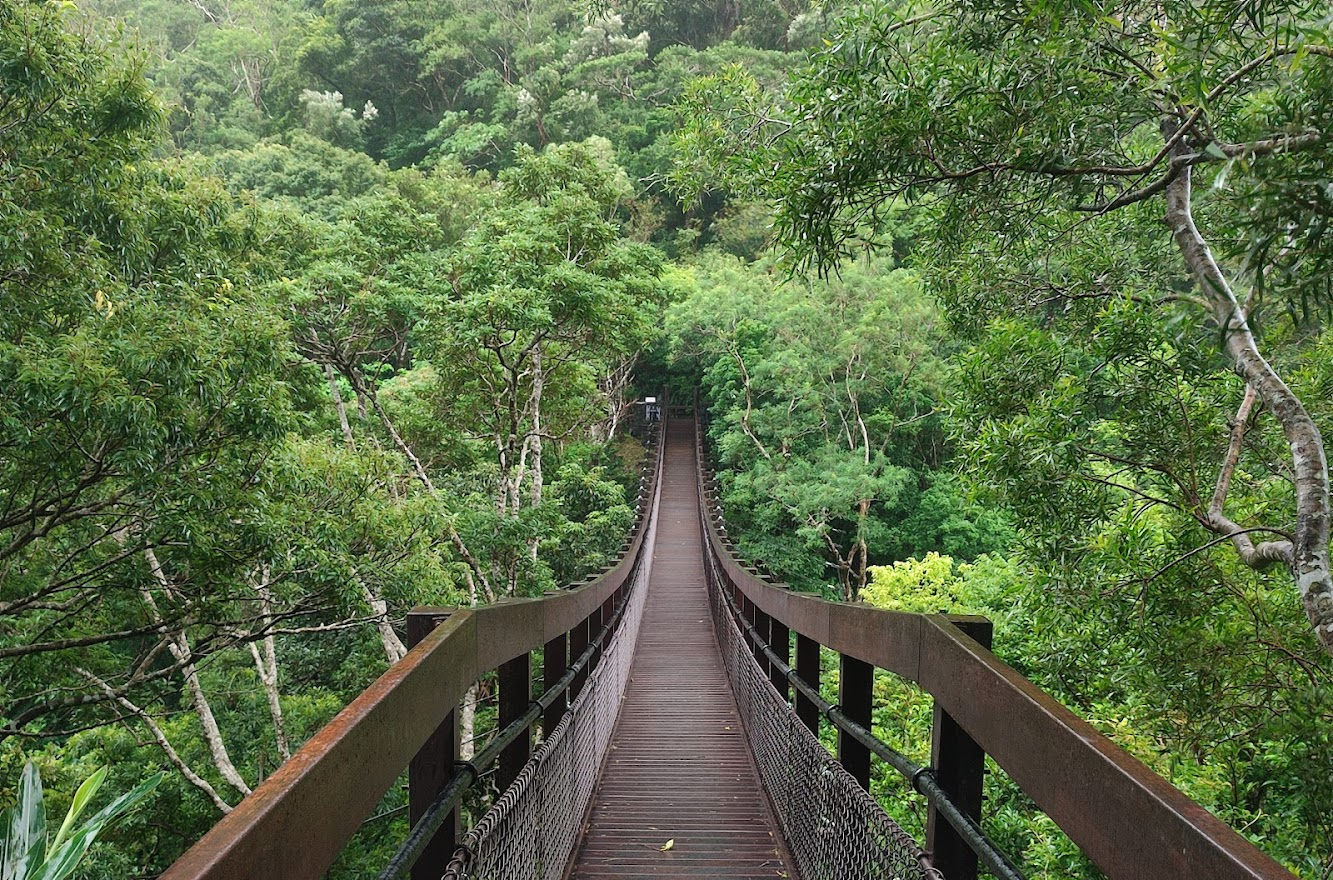 絕代雙驕瀑布｜探索雙流國家森林遊樂區：自然愛好者的天堂