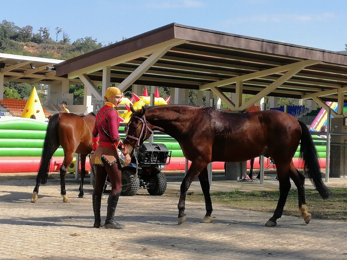 Houli Horse Ranch｜探索后里馬場：馬術競技場的最佳體驗與活動指南