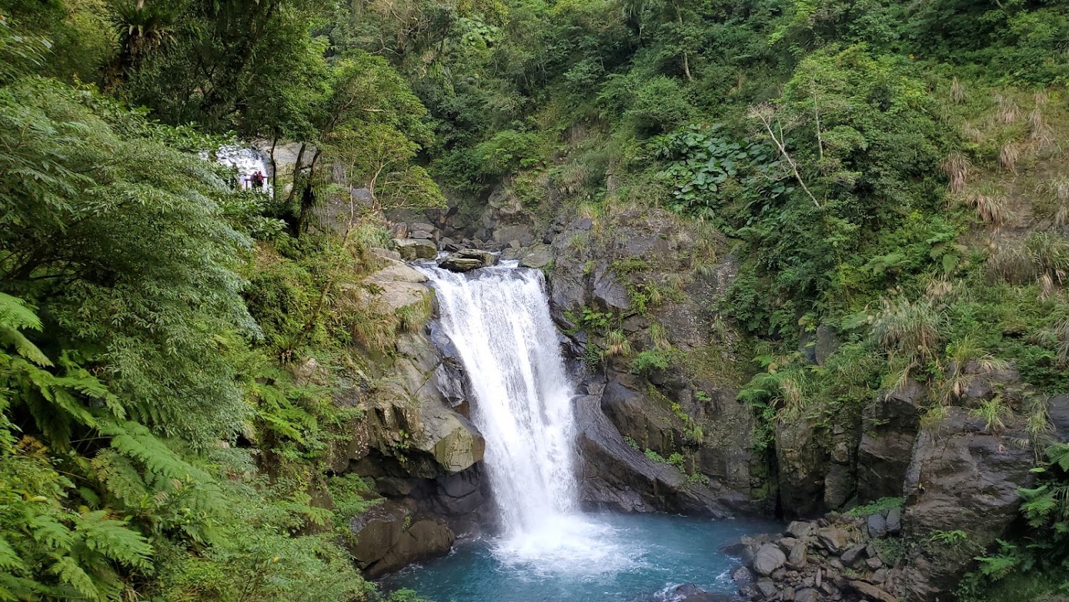 內洞國家森林遊樂區｜探索迷人的森林遊樂區：最佳的國家森林遊樂區推薦