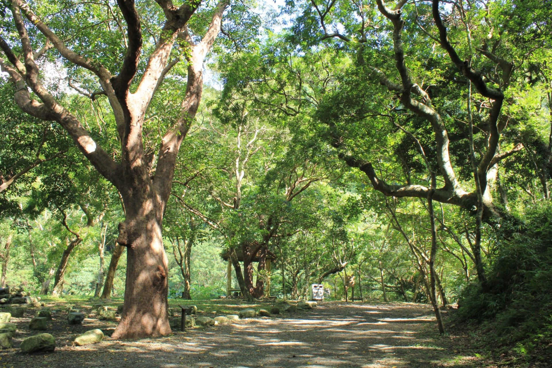 雙流森林遊樂區必去的6大旅遊亮點與活動