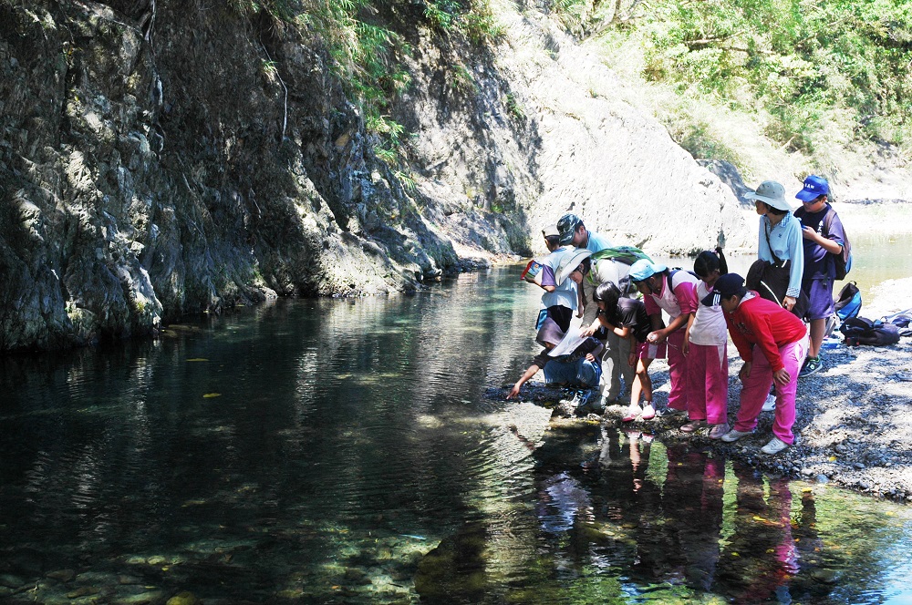 雙流森林遊樂區必去的6大旅遊亮點與活動