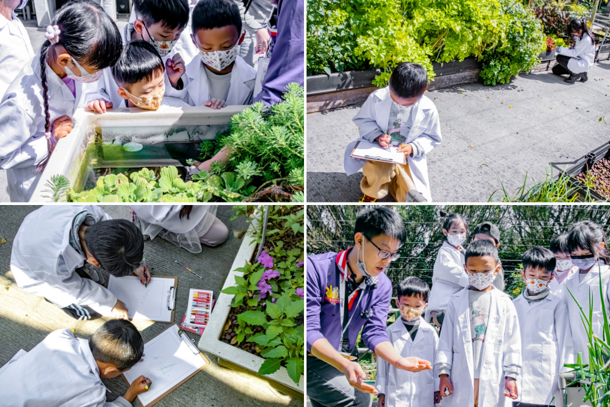 2025暑假去哪玩？新竹親子一日遊路線這樣排最剛好